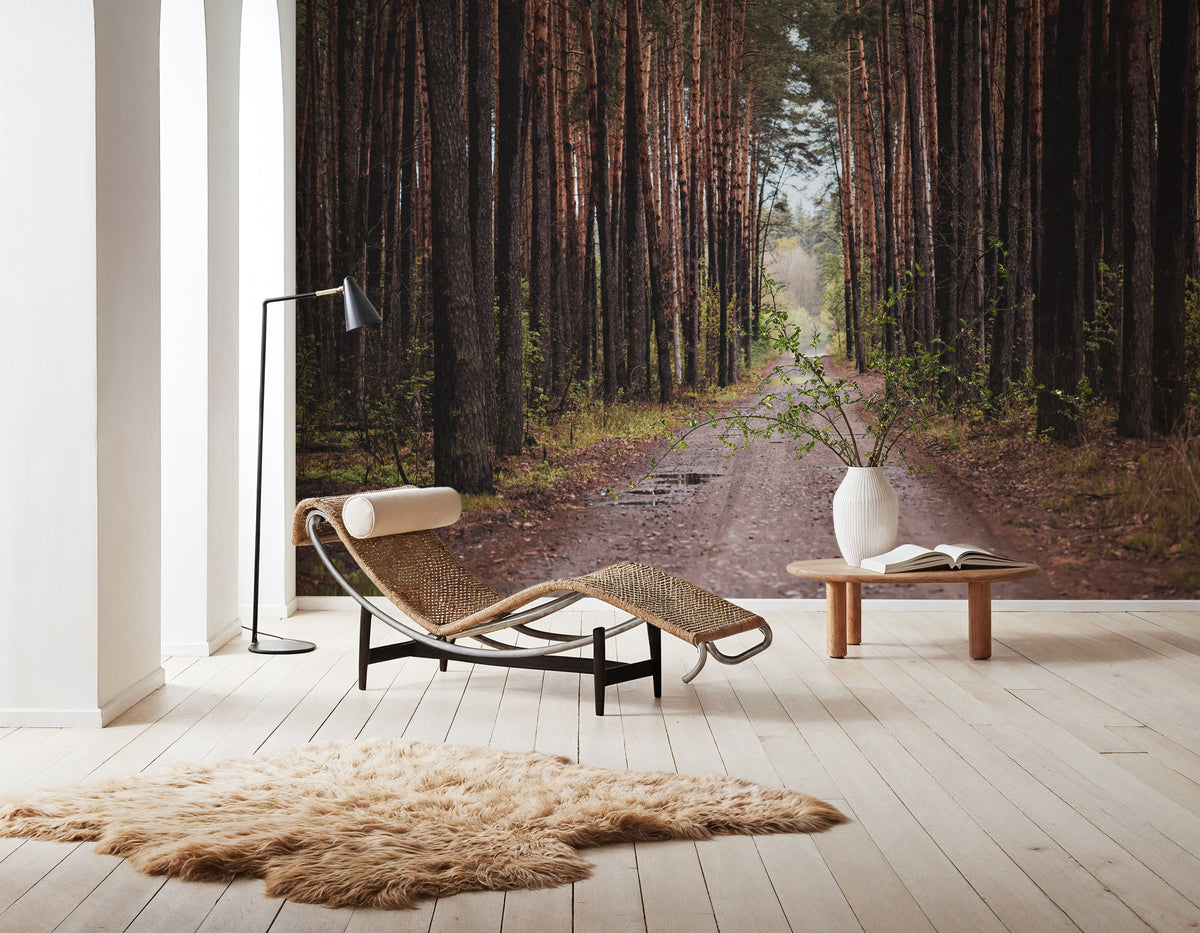 Dark Moody Trail Mural Wallpaper - room preview 05