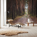 Dark Moody Trail Mural Wallpaper - room preview 05