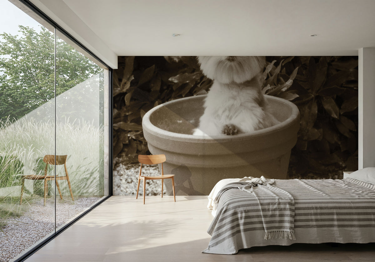 In the Garden Hello Mural Wallpaper - room preview 05