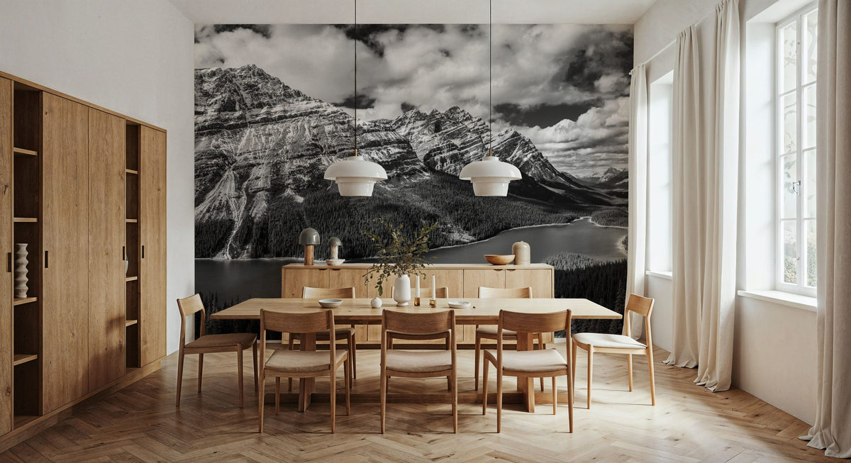 Peyto Lake BW Mural Wallpaper - room preview 05