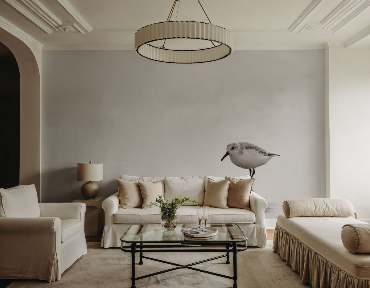 Tybee Island Sanderling Mural Wallpaper - room preview 05