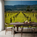 Vineyard Symmetry Mural Wallpaper - room preview 05