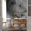 Old Lion BW Mural Wallpaper - room preview 05