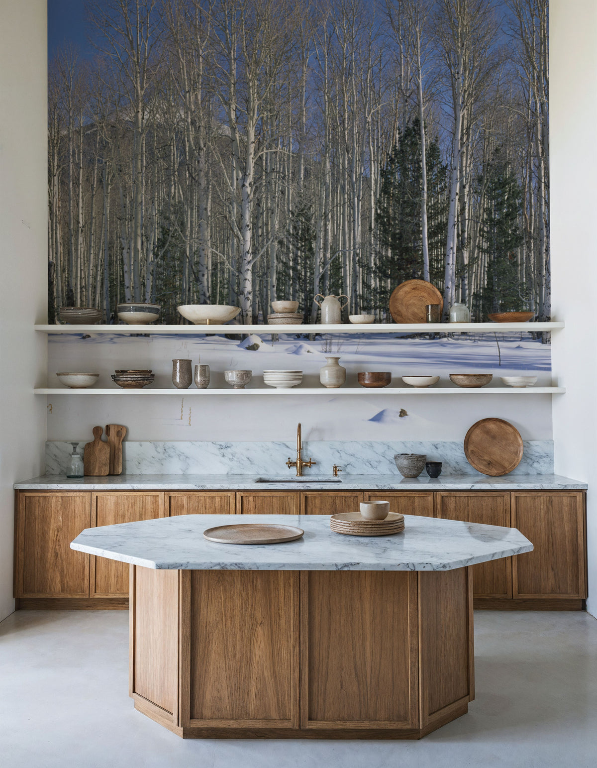 Aspen Winter Grove Mural Wallpaper - room preview 05