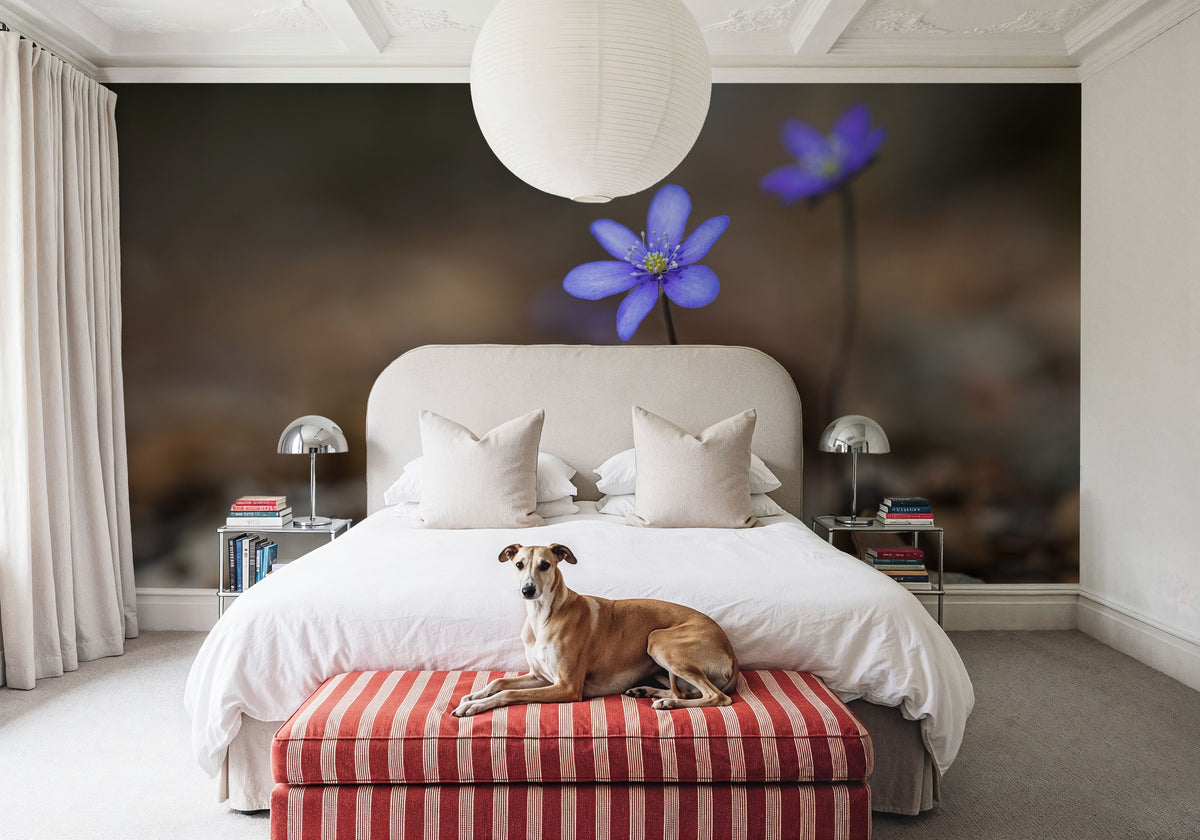 Hepatica Blooming Mural Wallpaper - room preview 05