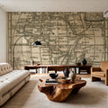 Old Africa Map Mural Wallpaper - room preview 05