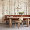 Birch Trees on White Mural Wallpaper - room preview 05