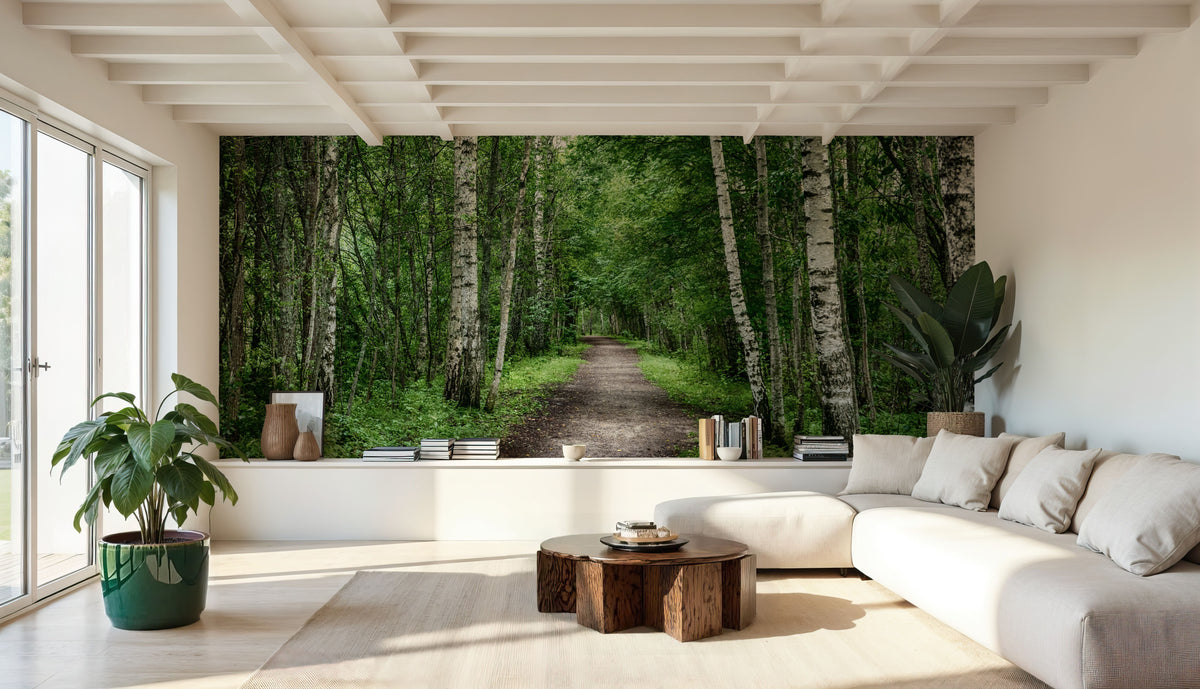 Dark Birch Forest Mural Wallpaper - room preview 05