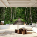 Dark Birch Forest Mural Wallpaper - room preview 05