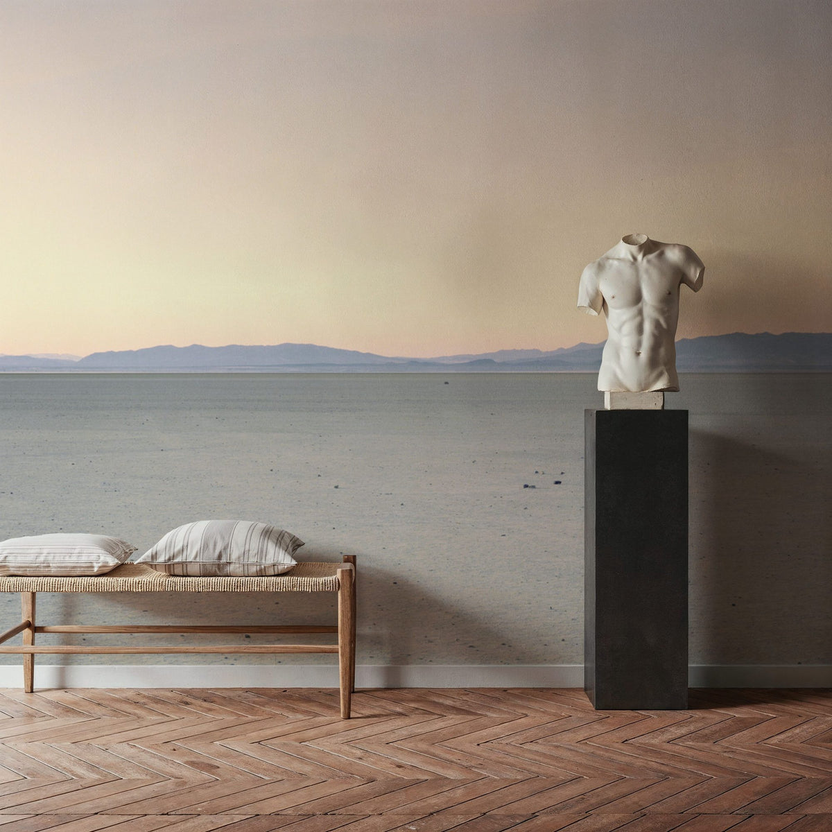 Desert Serenity Mural Wallpaper - room preview 05