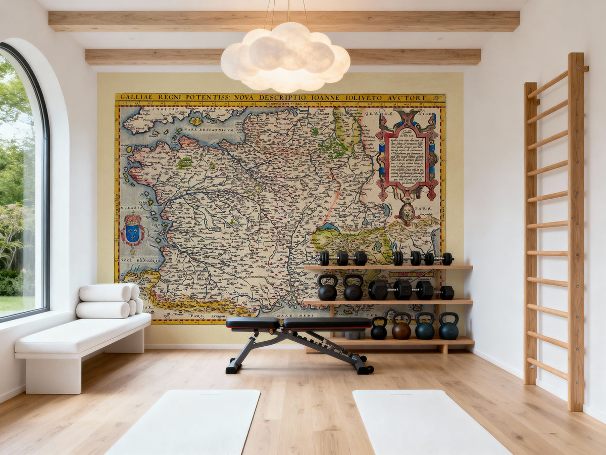 Old Map of France, 1570 Mural Wallpaper - room preview 05