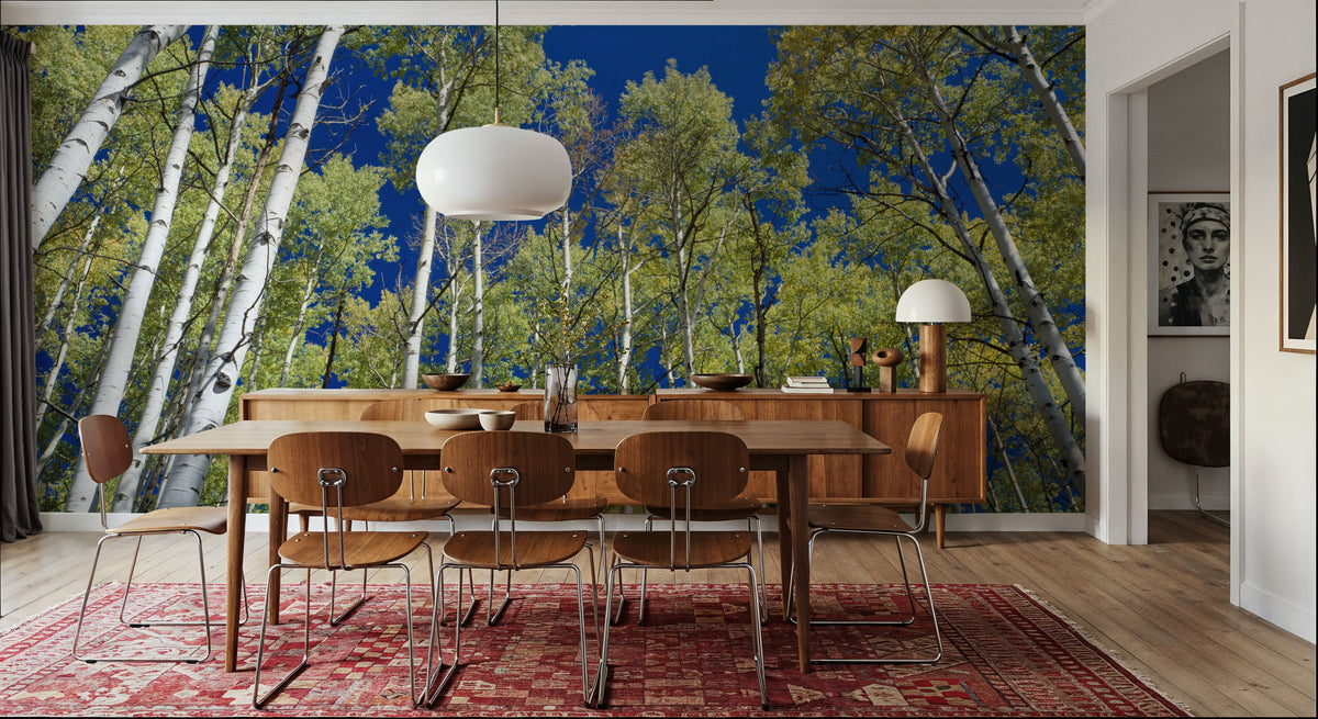 Cobalt Birch Forest Mural Wallpaper - room preview 05