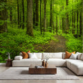 Emerald Woodland Path Mural Wallpaper - room preview 05