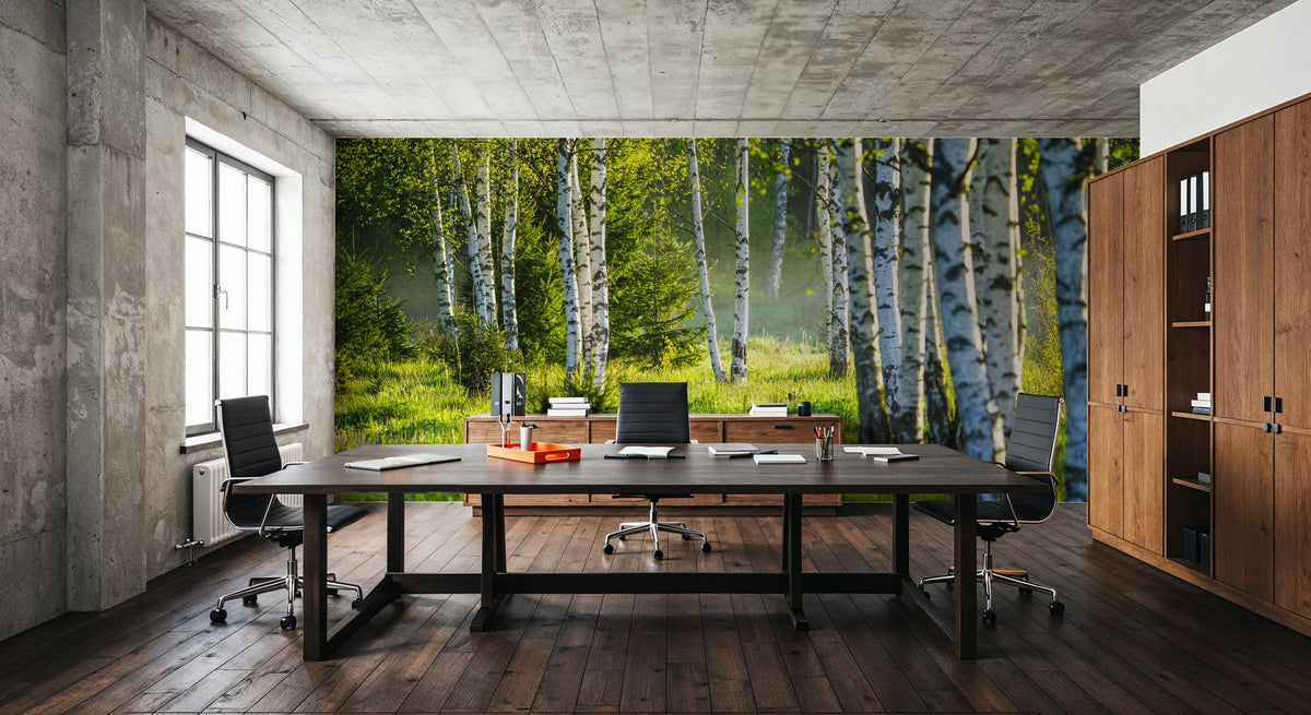 Young Birches Mural Wallpaper - room preview 05