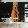 Desert Sentinels Mural Wallpaper - room preview 05