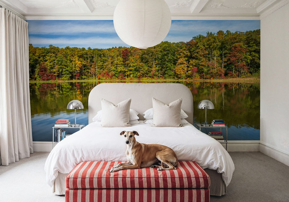 Autumn Lakewalk Mural Wallpaper - room preview 05