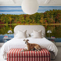 Autumn Lakewalk Mural Wallpaper - room preview 05