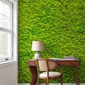 Moss Mat Mural Wallpaper - room preview 05