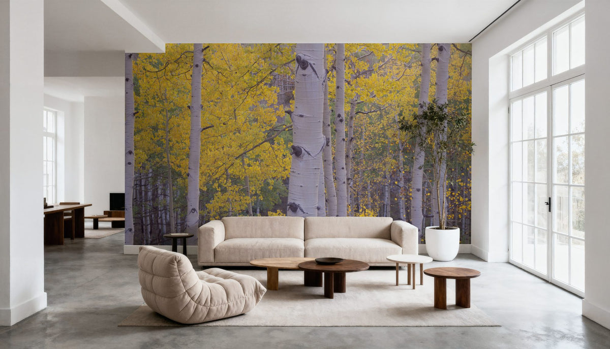 Golden Birch Forest Mural Wallpaper - room preview 05