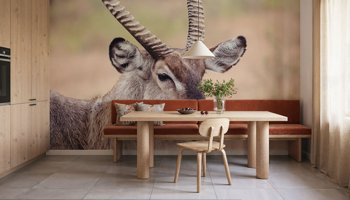 Waterbuck Portrait Mural Wallpaper - room preview 05