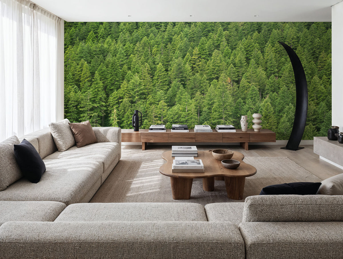 Evergreen Forest in Washintong State Mural Wallpaper - room preview 05