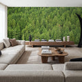 Evergreen Forest in Washintong State Mural Wallpaper - room preview 05