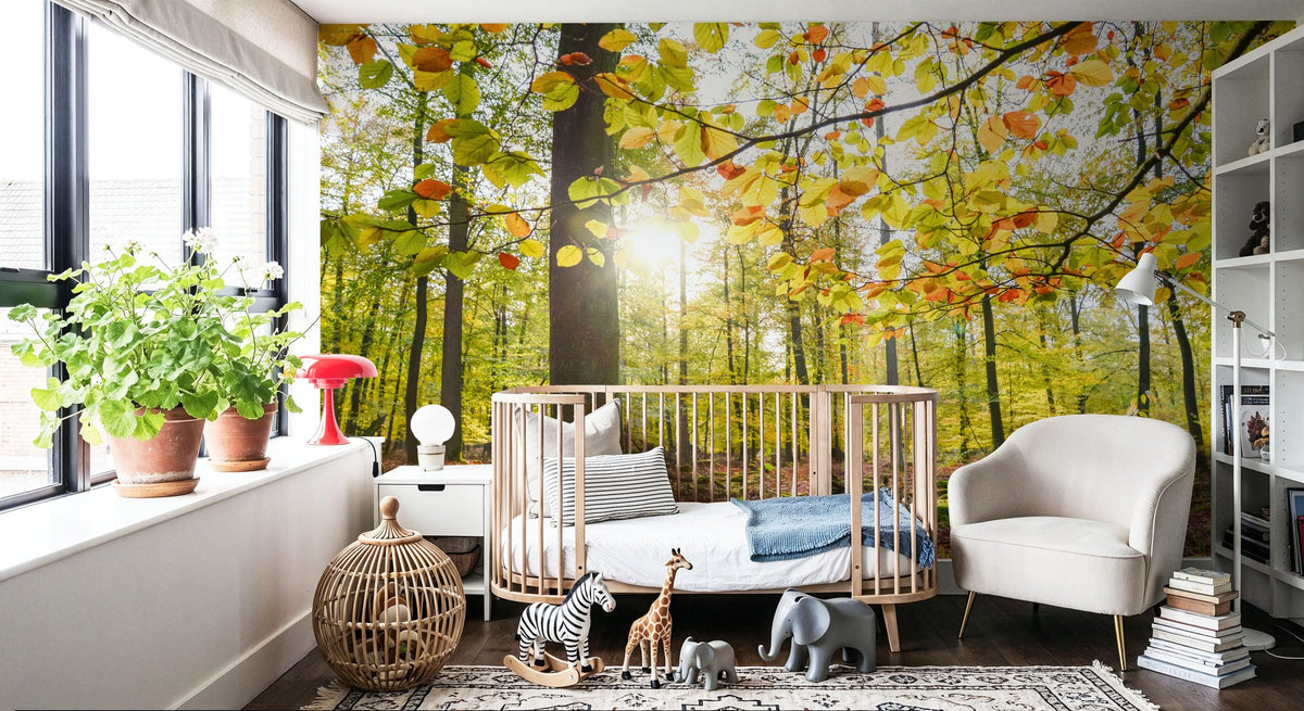 Autumn Sun Mural Wallpaper - room preview 05