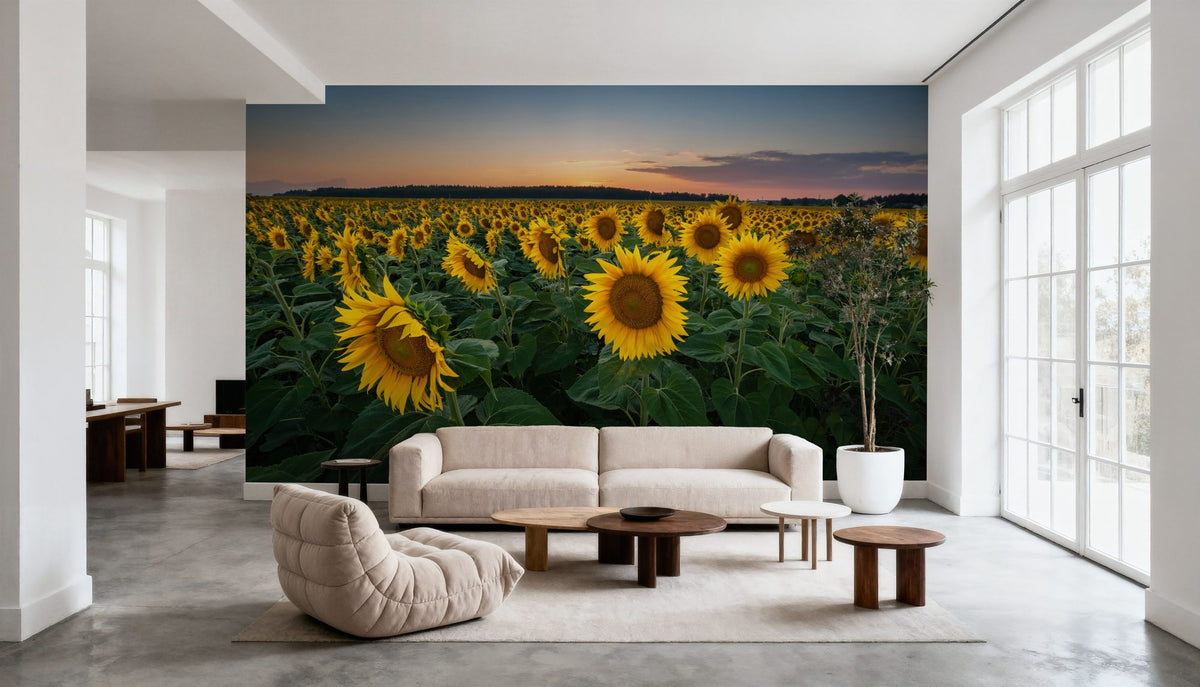 Proud Sunflower Field Mural Wallpaper - room preview 06