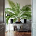 Vintage Palm Tree II Mural Wallpaper - room preview 05