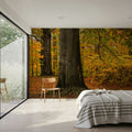 Falling Yellow Autumn Leaves Mural Wallpaper - room preview 05