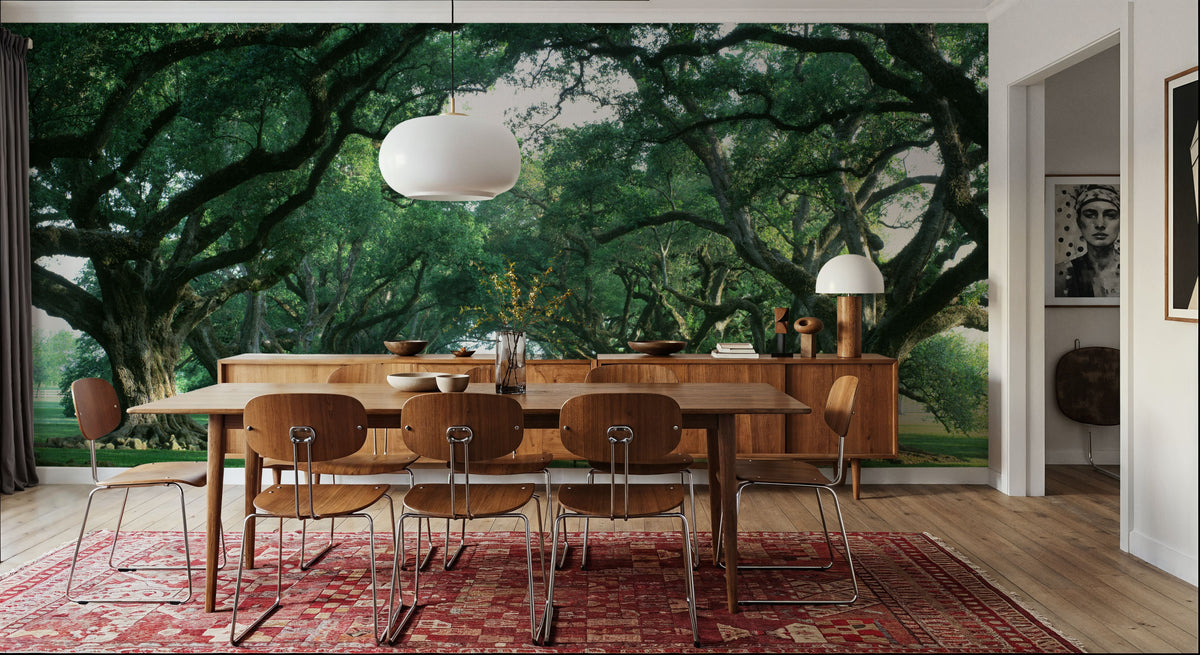 Ancient Oak Avenue Mural Wallpaper - room preview 05