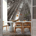 Ancient Redwood Forest Mural Wallpaper - room preview 05