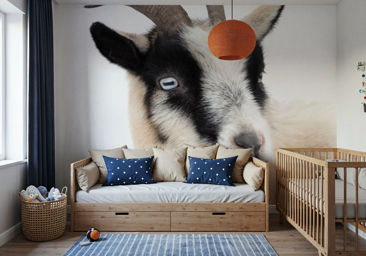 Pippa the Goat I Mural Wallpaper - room preview 05