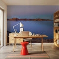 Smith Island Cactus Mural Wallpaper - room preview 05