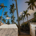 Palm Way Mural Wallpaper - room preview 05