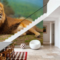 Lion Rest Mural Wallpaper - room preview 05