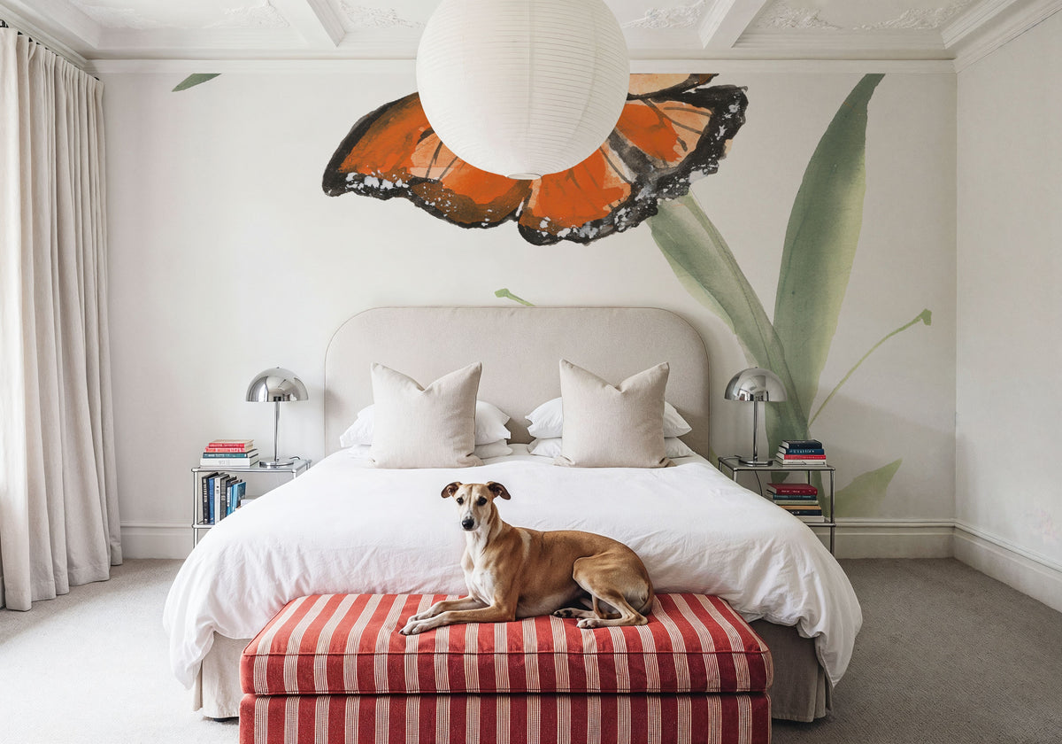 Butterfly Orange I Mural Wallpaper - room preview 05