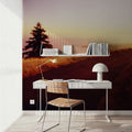 Coastal Sunset Path Mural Wallpaper - room preview 05