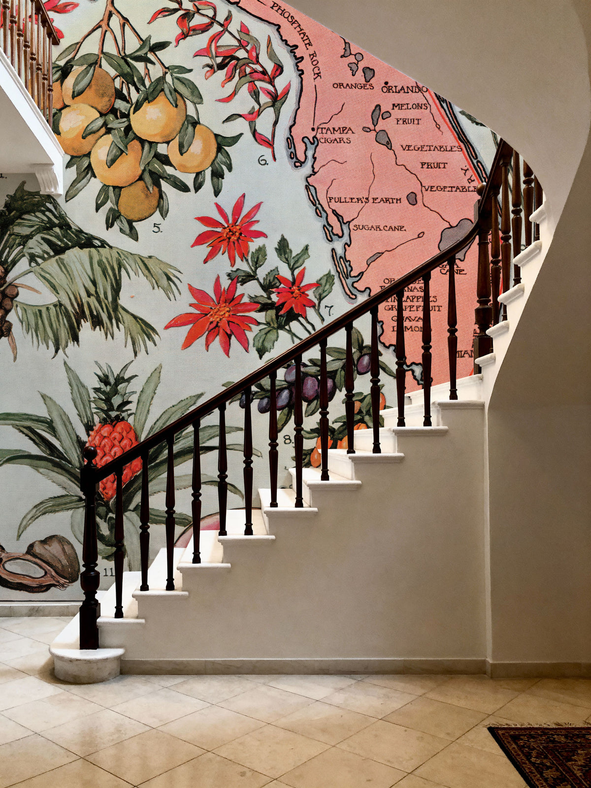 Vintage Florida Botanical Map Mural Wallpaper - room preview 05
