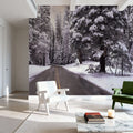 Winter's Path Mural Wallpaper - room preview 05