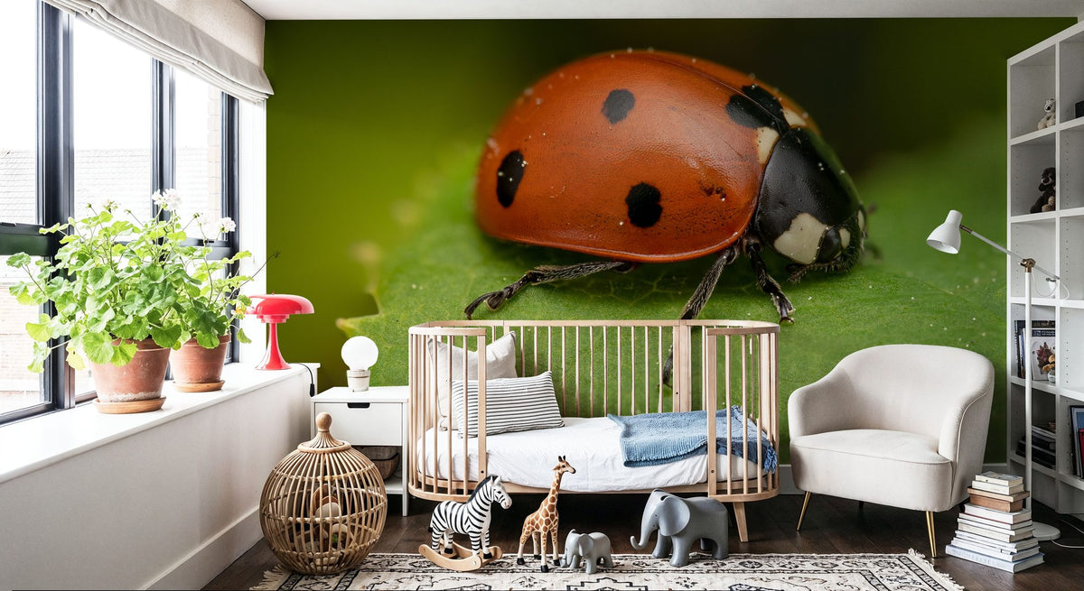Ladybug on Leaf Mural Wallpaper - room preview 05