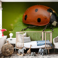 Ladybug on Leaf Mural Wallpaper - room preview 05