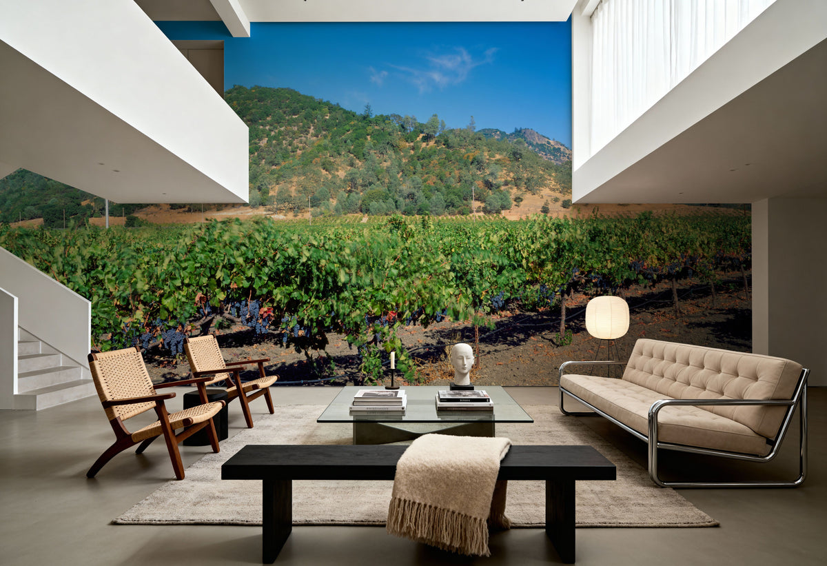 Vineyard Splendor Mural Wallpaper - room preview 05