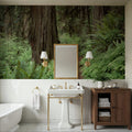 Primeval Forest Path Mural Wallpaper - room preview 05