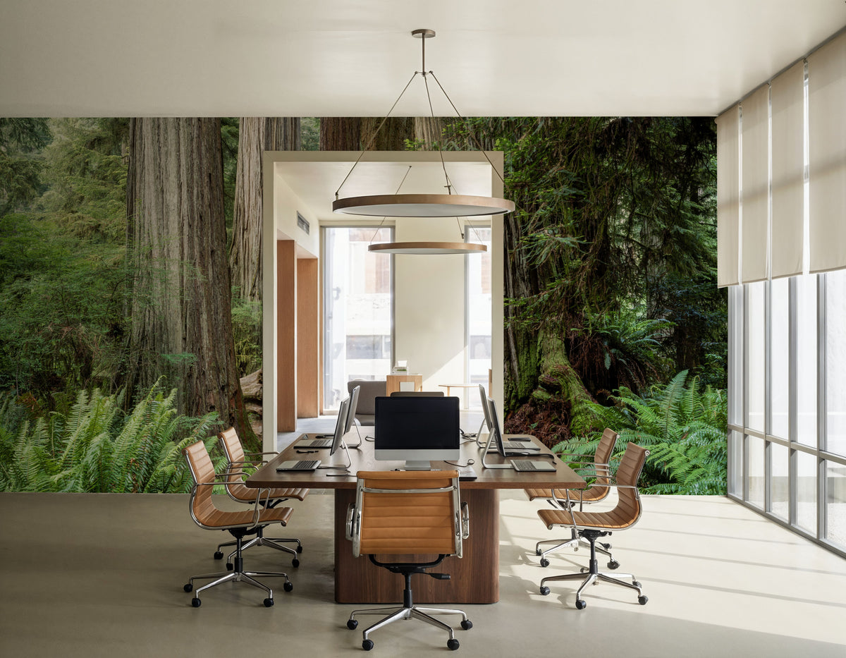 Ancient Forest Path Mural Wallpaper - room preview 05