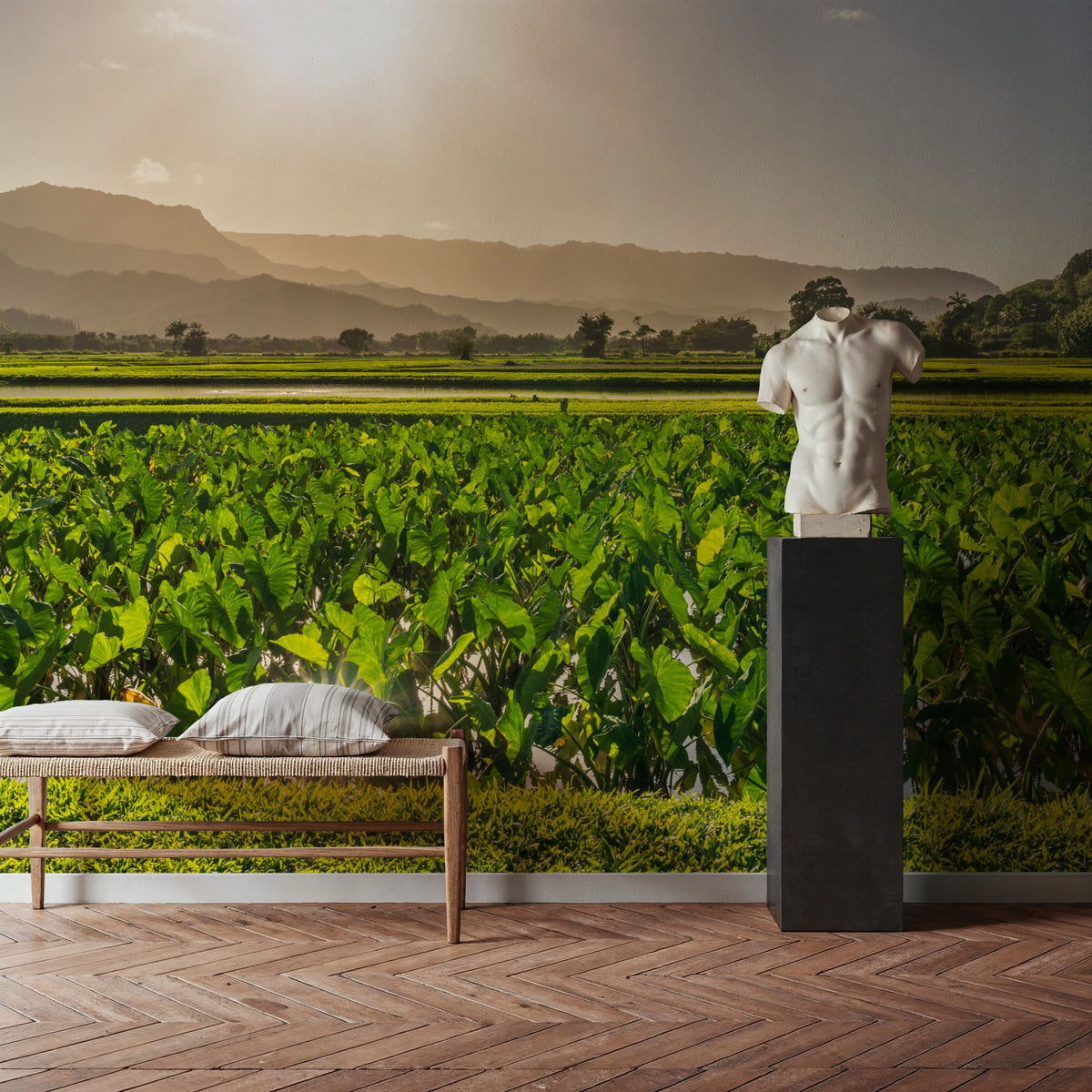 Golden Field Sunset Mural Wallpaper - room preview 05