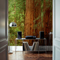 Ancient Timber Glow Mural Wallpaper - room preview 05