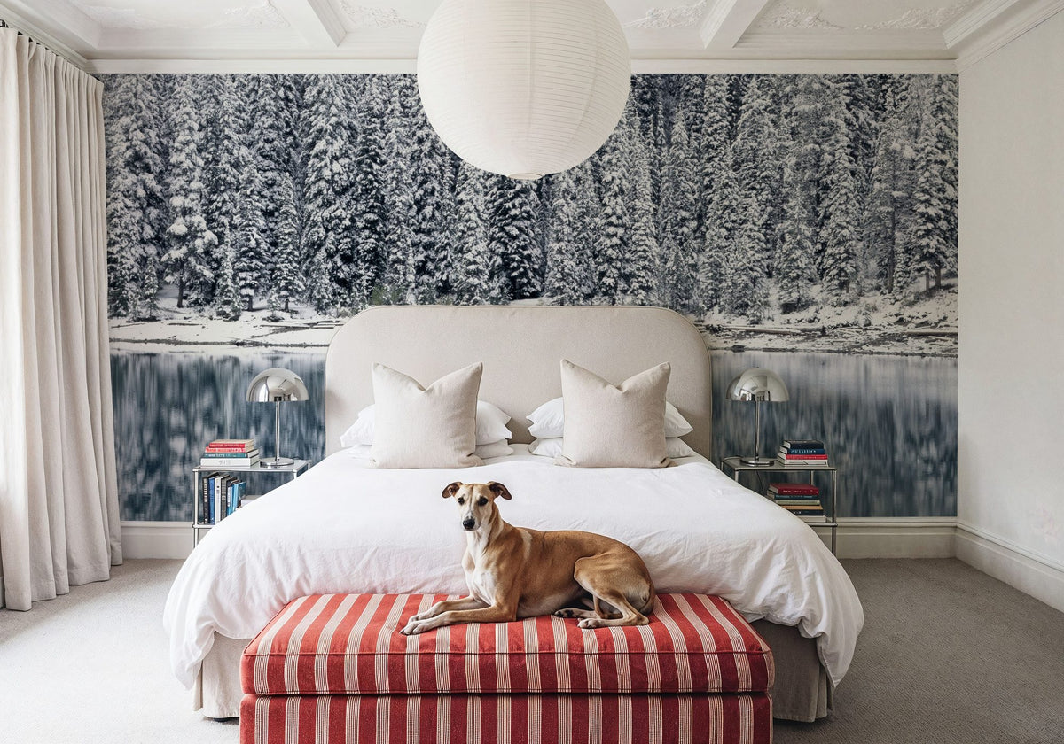 Moraine Lake Mural Wallpaper - Neutral Tone - room preview 05