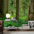 Hoh Rainforest Mural Wallpaper - room preview 05