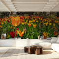 Vibrant Tulip Bloom Mural Wallpaper - room preview 05